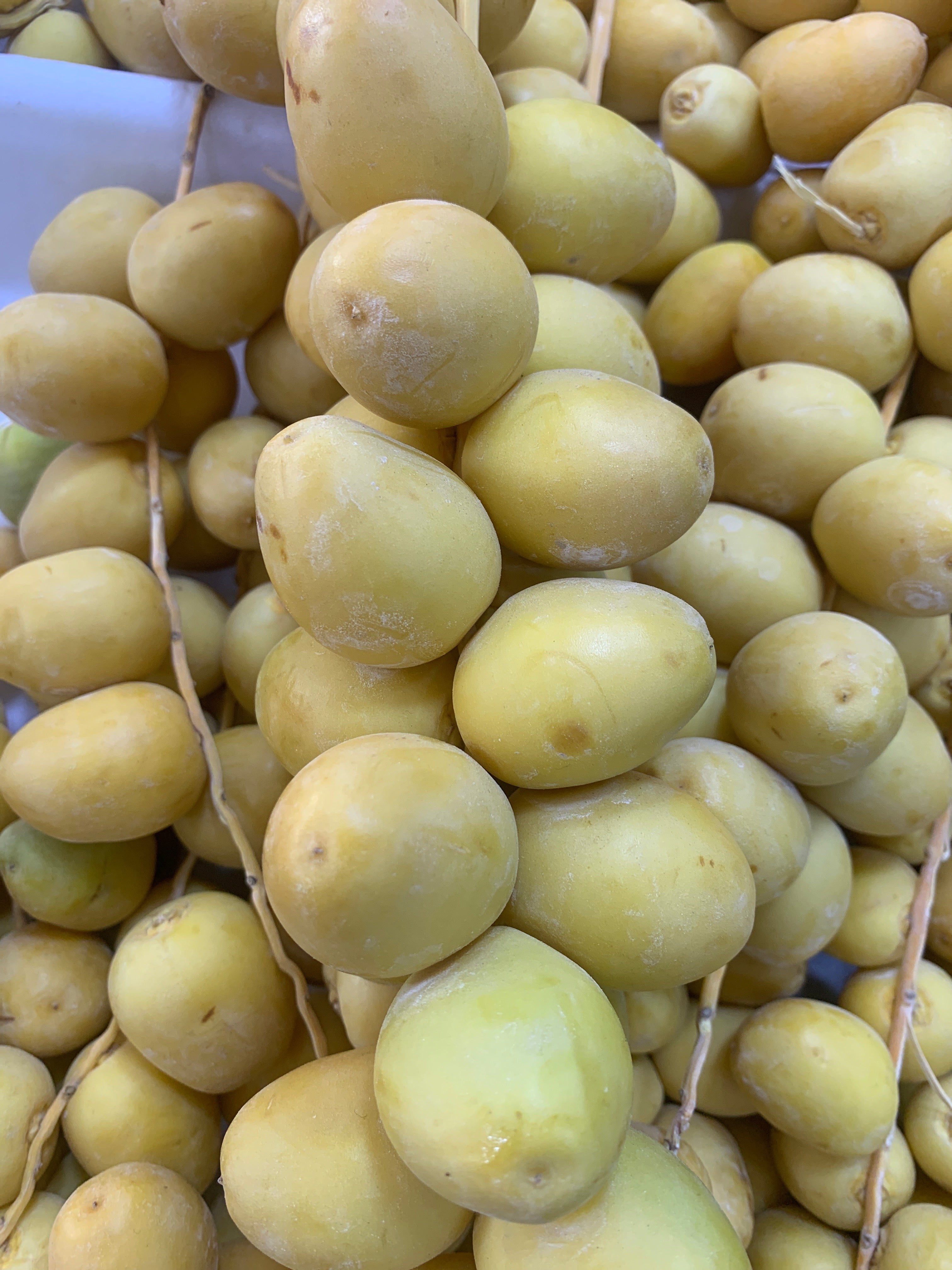 بلح اصفر